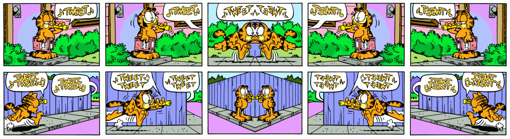 Mirror-Image Garfield