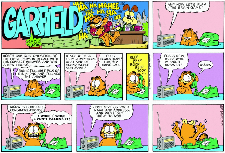 What If Garfield Can Talk