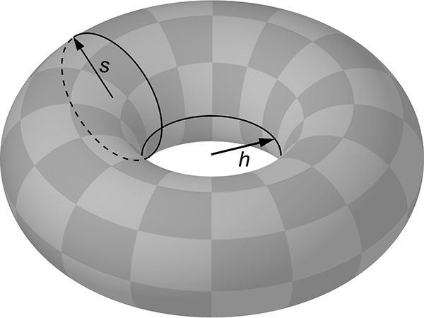 Torus showing radii