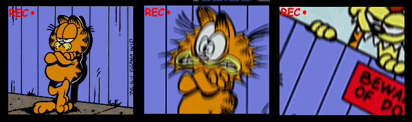 Garfield Divided by Cloverfield
