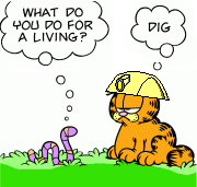 Garfield Miners Garfield