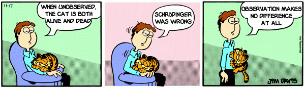 Garfield - Schrödinger's Cat