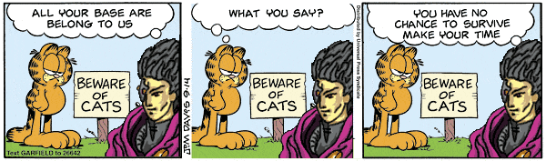 Beware of CATS