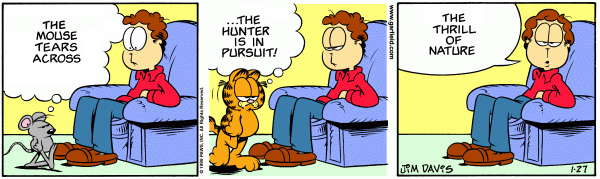 Garfield in Haiku Once Again