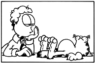 Squigglefield
