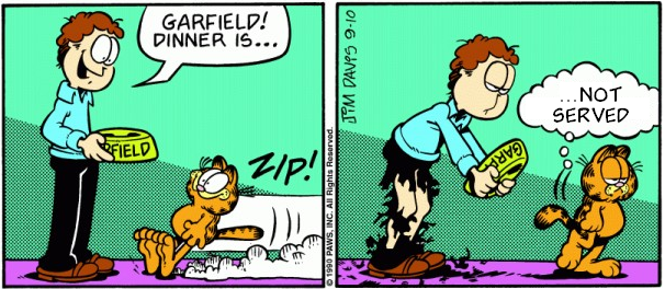 Tool-Assisted Garfield