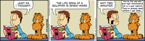 Garfield Plus Actual Fish Facts