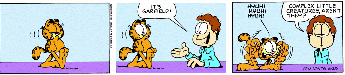 It's Garfield!