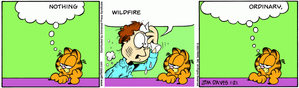 Garfield, one word per panel
