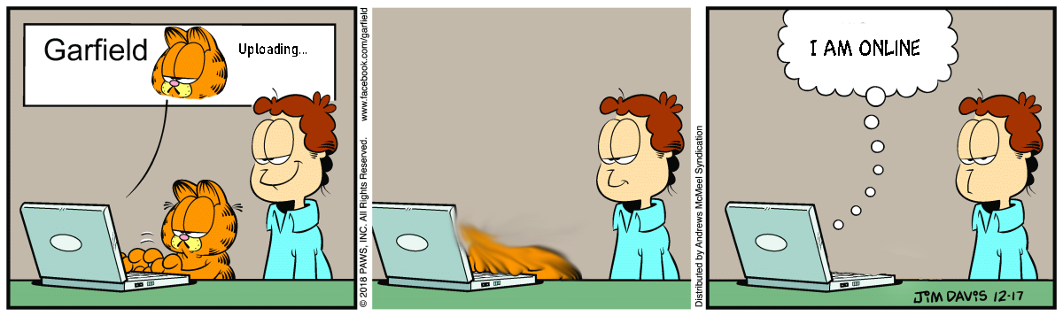 No Love Garfield Web