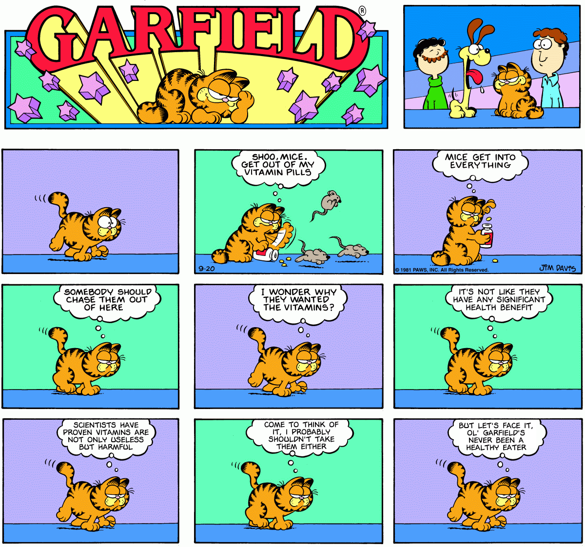 Garfield The Cynic
