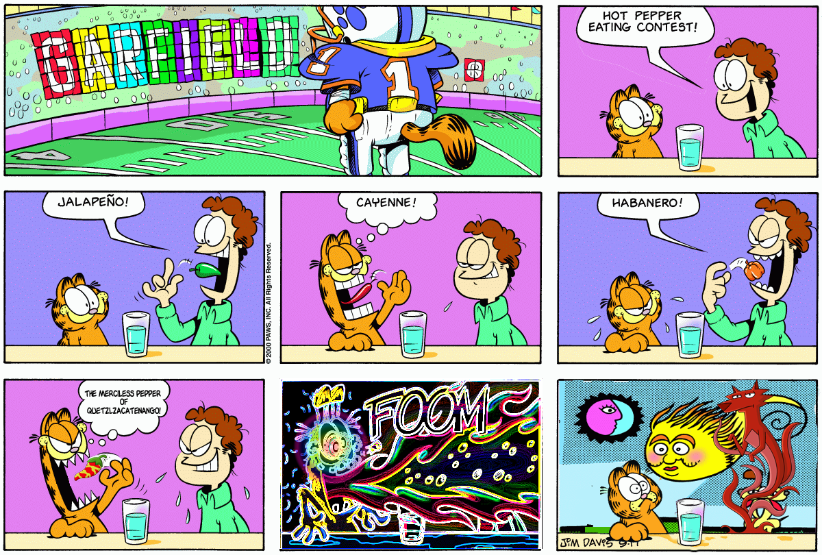 El Viaje Misterioso de Nuestro Garfield