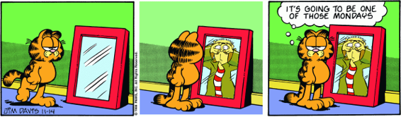 Mirror, Mirror, on the Cat