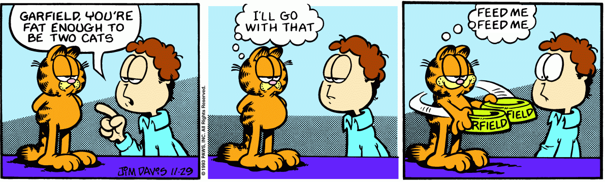 Garfield Plus Punchline