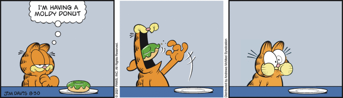 Stupid cat eats spoilt food (gone wrong!)