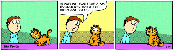 Garfield but it's an outside perspective