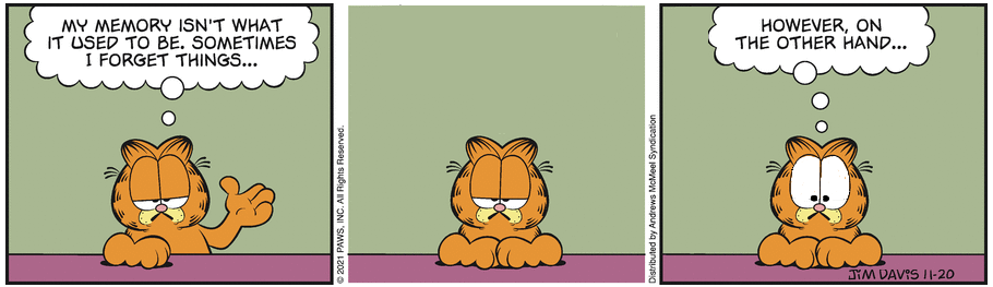 Garfield plus Memories