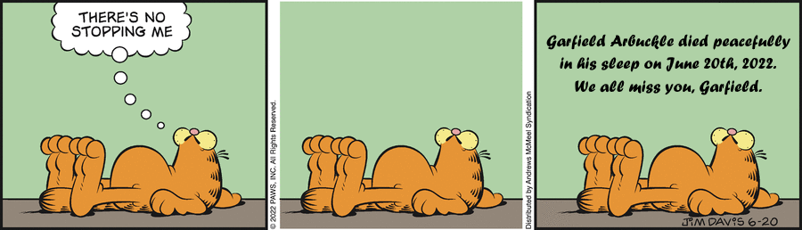 Garfield: His 1 Life