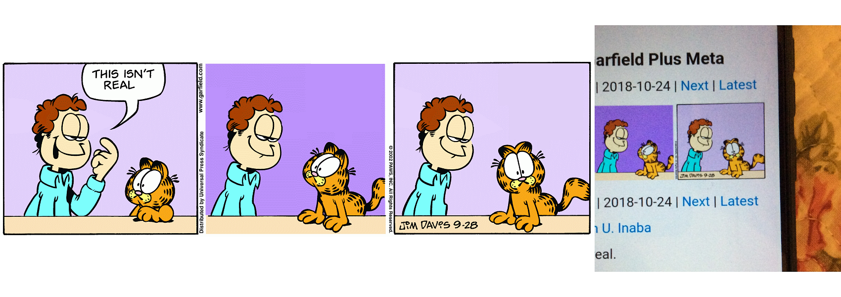 Garfield Plus Meta