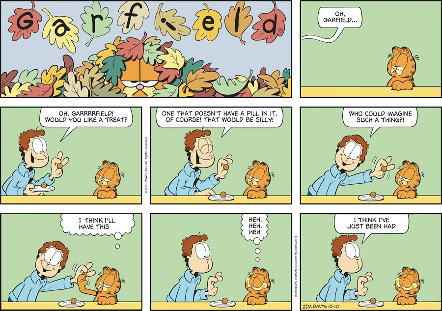 Garfield plus treat minus pill