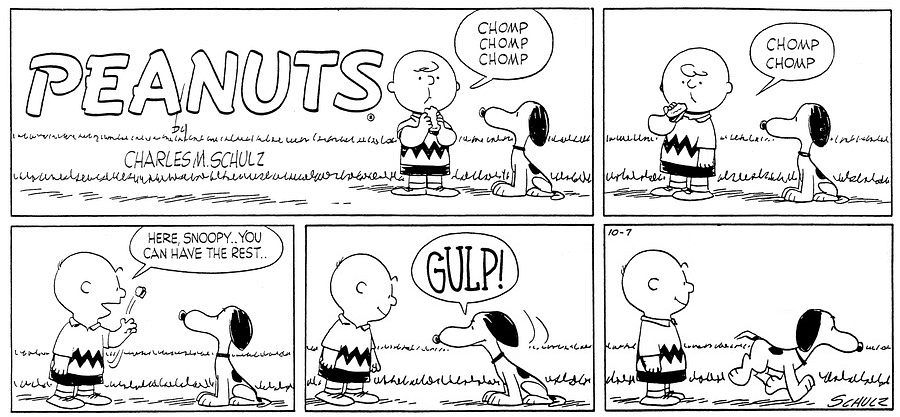 Peanuts in Charlie Brown's viewpoint