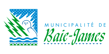 Flag of the Municipalité de Baie-James