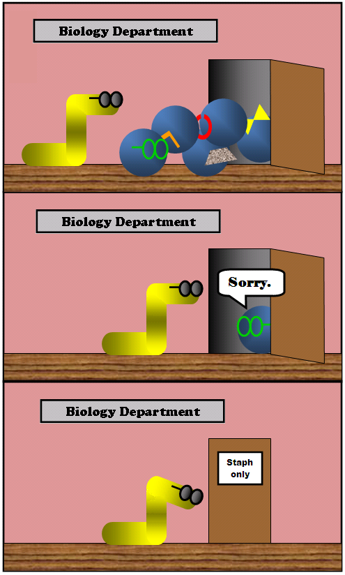 Biology Department